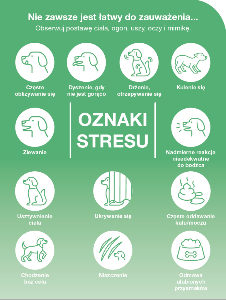 oznaki stresu u psa